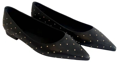 Cecelia New York Women's Brie Pointed Flat Shoes In Black/gold