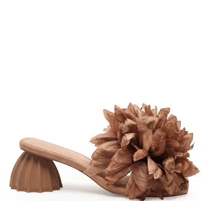 Cecelia New York Women's Dahlia Botanical Applique Sandal In Taupe In Brown