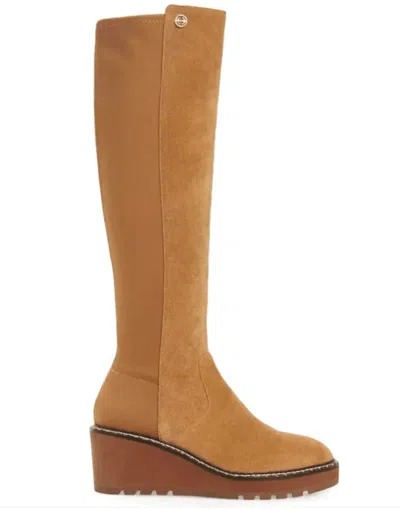 Cecelia New York Women's Gerber Boots In Nutella In Brown
