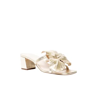 Cecelia New York Women's Happy Mule Sandals In Soft Gold In Multi