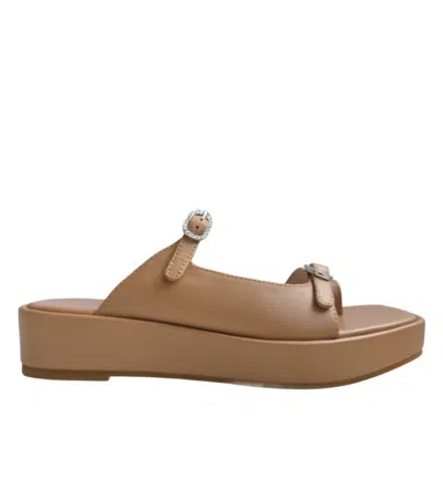 Cecelia New York Women's Kirk Platform Sandal In Tea In Brown