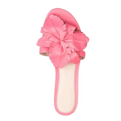 Cecelia New York Women's Lila Sandal In Cano Rose Pink In Multi