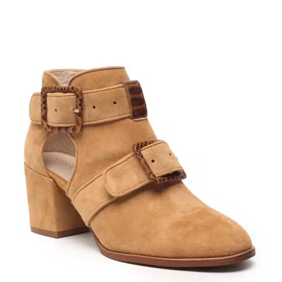 Cecelia New York Women's Niles Boot In Tan Snake In Multi