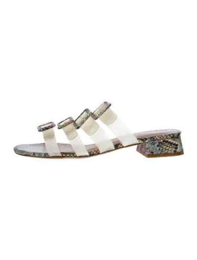 Pre-owned Cecelia Pvc Animal Print Slides In Transparent