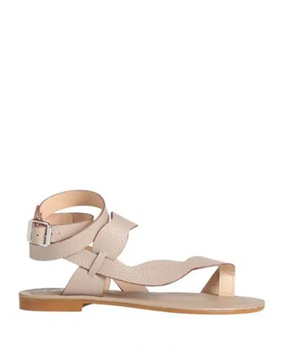 Cécile Cecile Woman Thong Sandal Grey Size 7 Leather In Pink