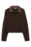 Cecilie Bahnsen Bibi Cashmere Blend Cardigan With Embroidered Collar In Brown