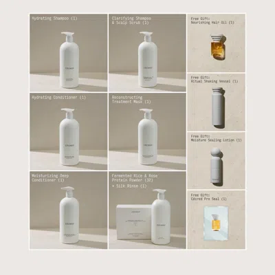 Cecred Single Chair Pro Bundle