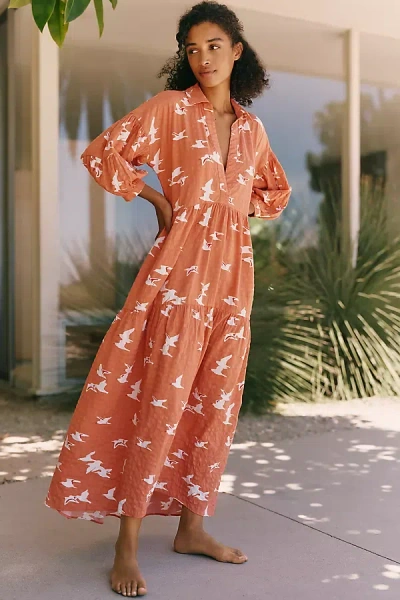 Celandine Carolita Long-sleeve Dress In Orange