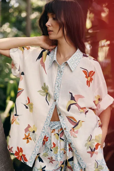 Celandine Classic Buttondown Shirt In White