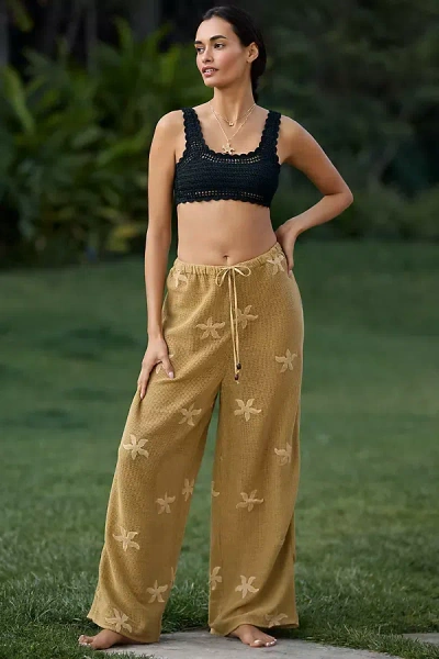 Celandine Embroidered Mesh Trousers In Brown