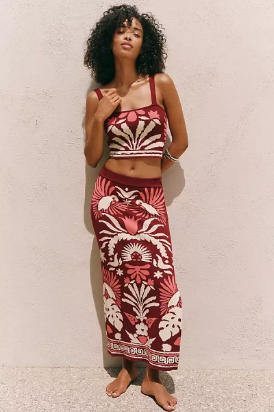 Celandine Knit Midi Skirt In Multicolor