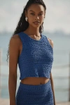 Celandine Sheer Knit Fringe Crop Top In Blue