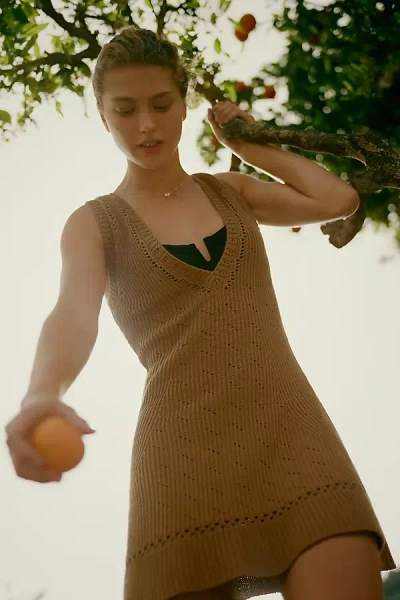 Celandine Sleeveless Mini Sweater Dress In Brown