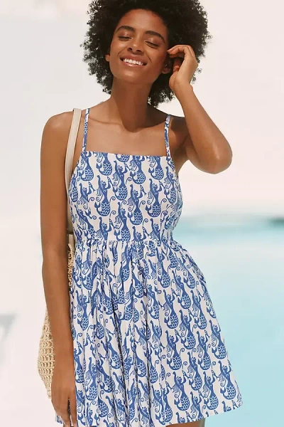Celandine Sleeveless Mini Swing Dress
