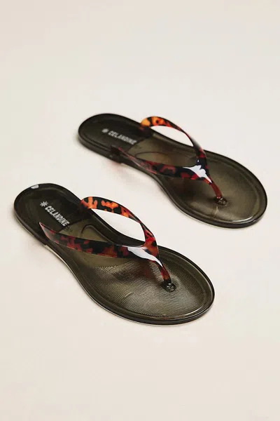 Celandine Sol Jelly Flip Flops In Gray