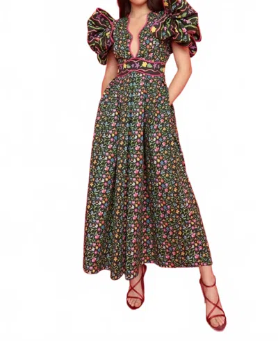 Celia B Asteri Maxi Dress In Multicolor