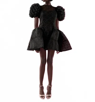 Celia B Auri Dress In Black
