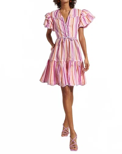 CELIA B BABA VOYAGER MINI DRESS IN PINK