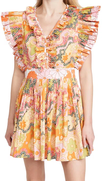 Celia B Lirio Dress In Orange In Multi