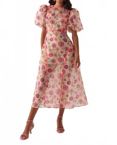 Celia B Women's Nammu Penninsula Dress In Multi In Pink