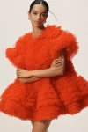Celiab Amor Ruffle Swing Mini Dress In Red