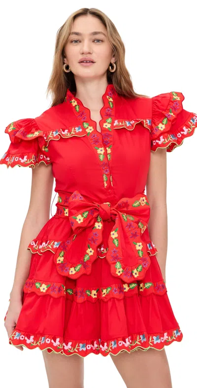 Celiab Haze Red Dress Red