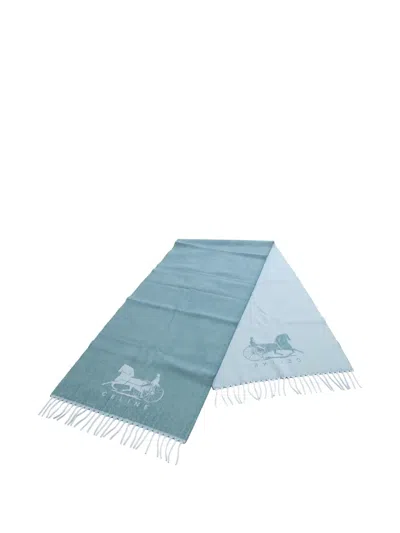 Pre-owned Celine 1910s Salkey Scarf In Blue