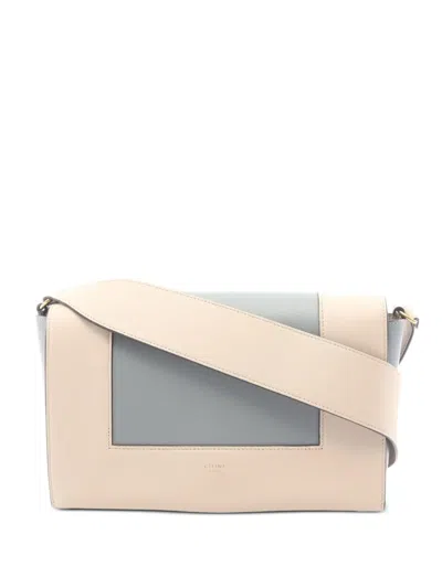 Pre-owned Celine 2010s Medium Frame Shoulder Bag In Neutrals
