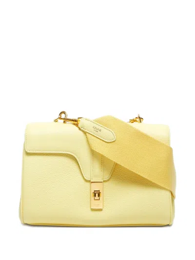 Pre-owned Celine 2020-2024 Teen Soft Shoulder Bag
