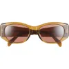 Celine 3 Dots 54mm Oval Sunglasses In Brown