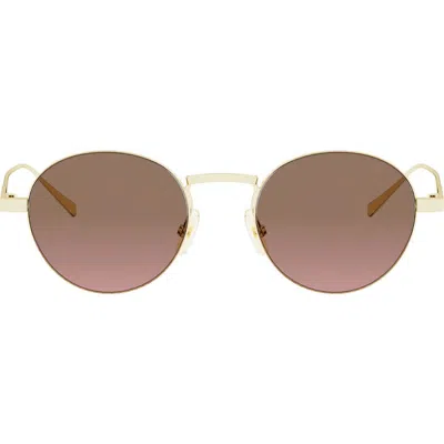 Celine 49mm Small Round Sunglasses In Multi
