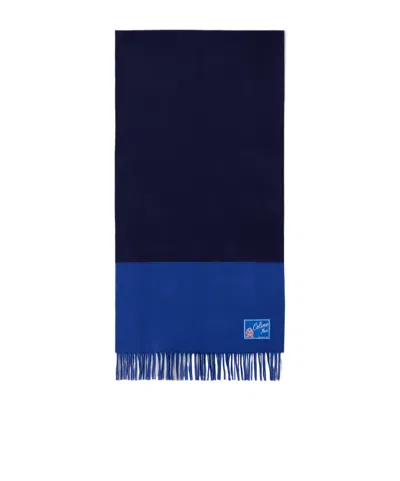 Celine Bicolor Cashmere Scarf In Blue