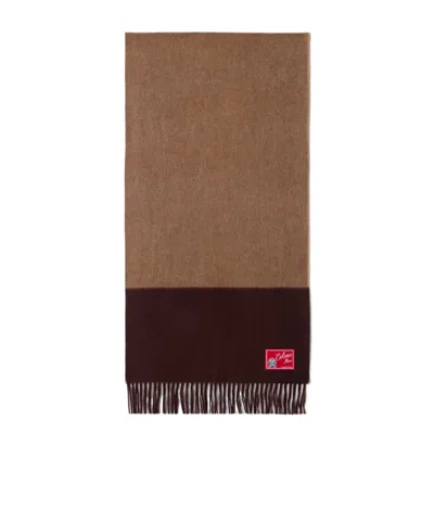 Celine Bicolor Cashmere Scarf In Brown