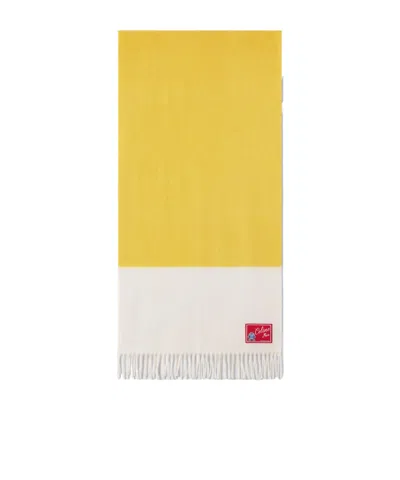 Celine Bicolor Cashmere Scarf In Yellow