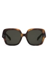 Celine Bold 3 Dots 55mm Polarized Square Sunglasses In Brown