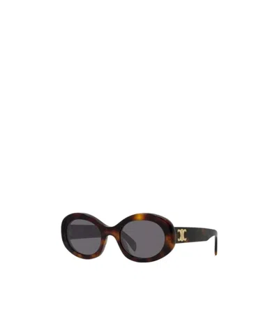 Celine Bubble-frame Sunglasses In Havana