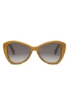Celine Butterfly 55mm Sunglasses In Brown