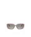 Celine Triomphe 04 Sunglasses In Gray