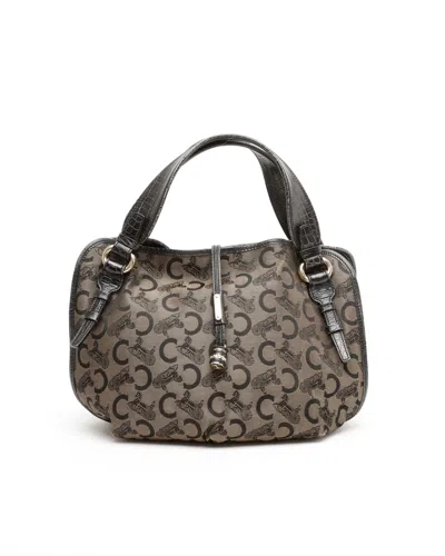 Celine Céline C Carriage Bittersweet Hobo Bag In Gray