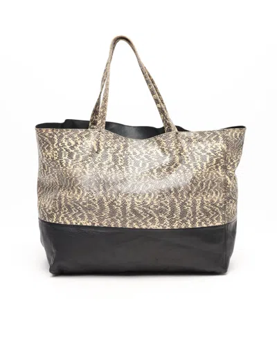 Celine Céline Cabas Horizontal Tote Bag In Multi