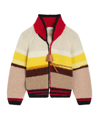Celine Cardigan In Wool In Yellow