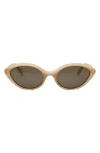Celine Cat Eye Sunglasses In Brown