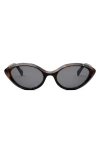 Celine Cat Eye Sunglasses In Dark Havana / Smoke