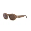 Celine Triomphe Cl40194u 45e Oval Sunglasses In Brown