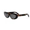 Celine 3 Dots Cl40310u 52a In 52a - Havana