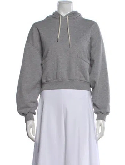 Pre-owned Celine Crew Neck Long Sleeve Hoodie In Gray