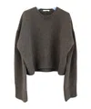 Celine Crew Neck Top In Gray
