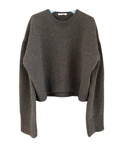 Celine Crew Neck Top In Gray