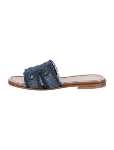 Pre-owned Celine Denim Patterned Slides In Blue