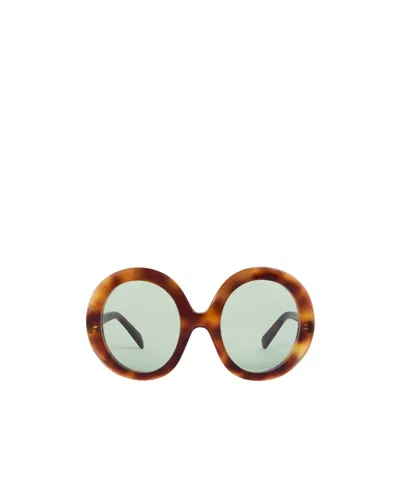 Celine Disc Sunglasses In Acetate In Brown
